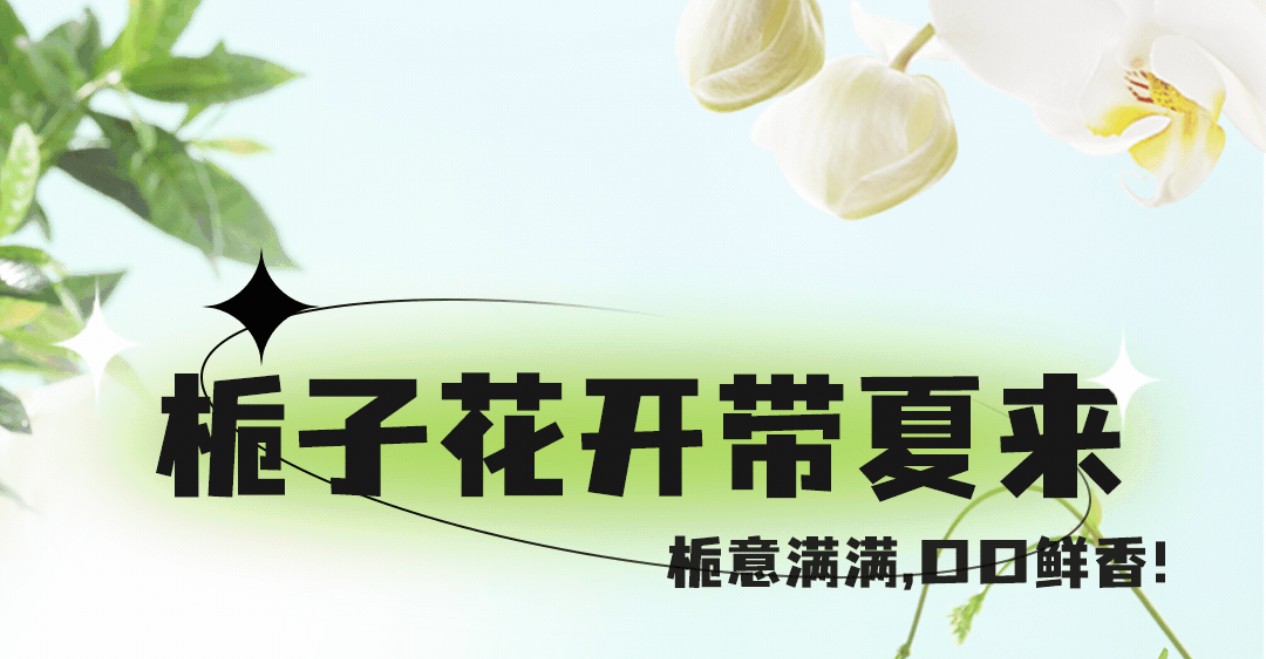 栀子花茶7月新上市 ，栀意满满，带你入夏！